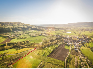 Santé des territoires et des populations